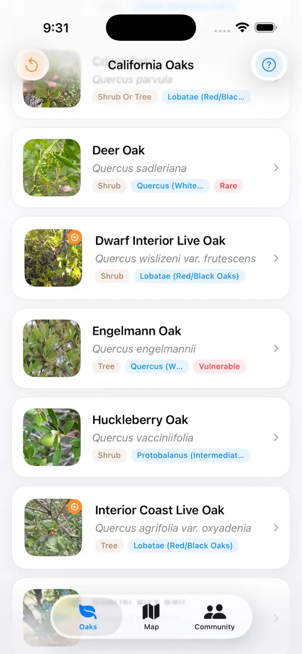 California Oaks app — community feed